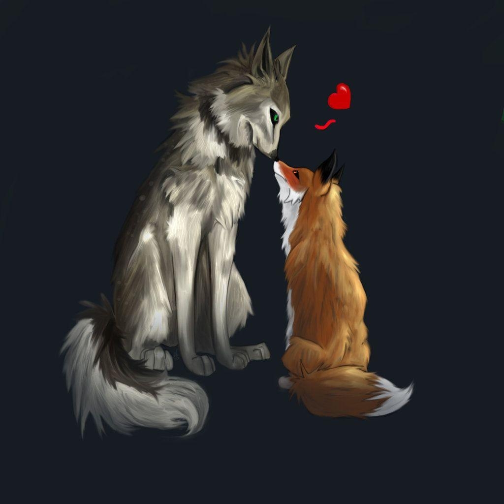 1030x1030 Fox and Wolf Wallpaper Free Fox and Wolf Background, Phone