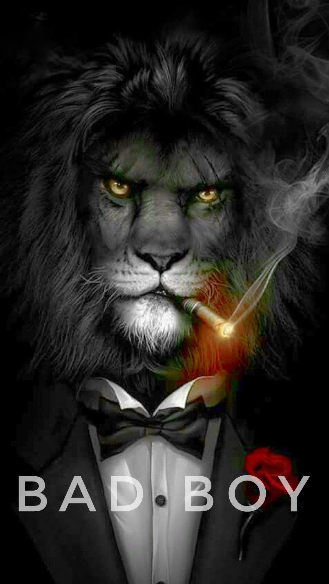 1080x1920 Bad boy. Lion HD wallpaper, Lion art, Lion picture, Phone