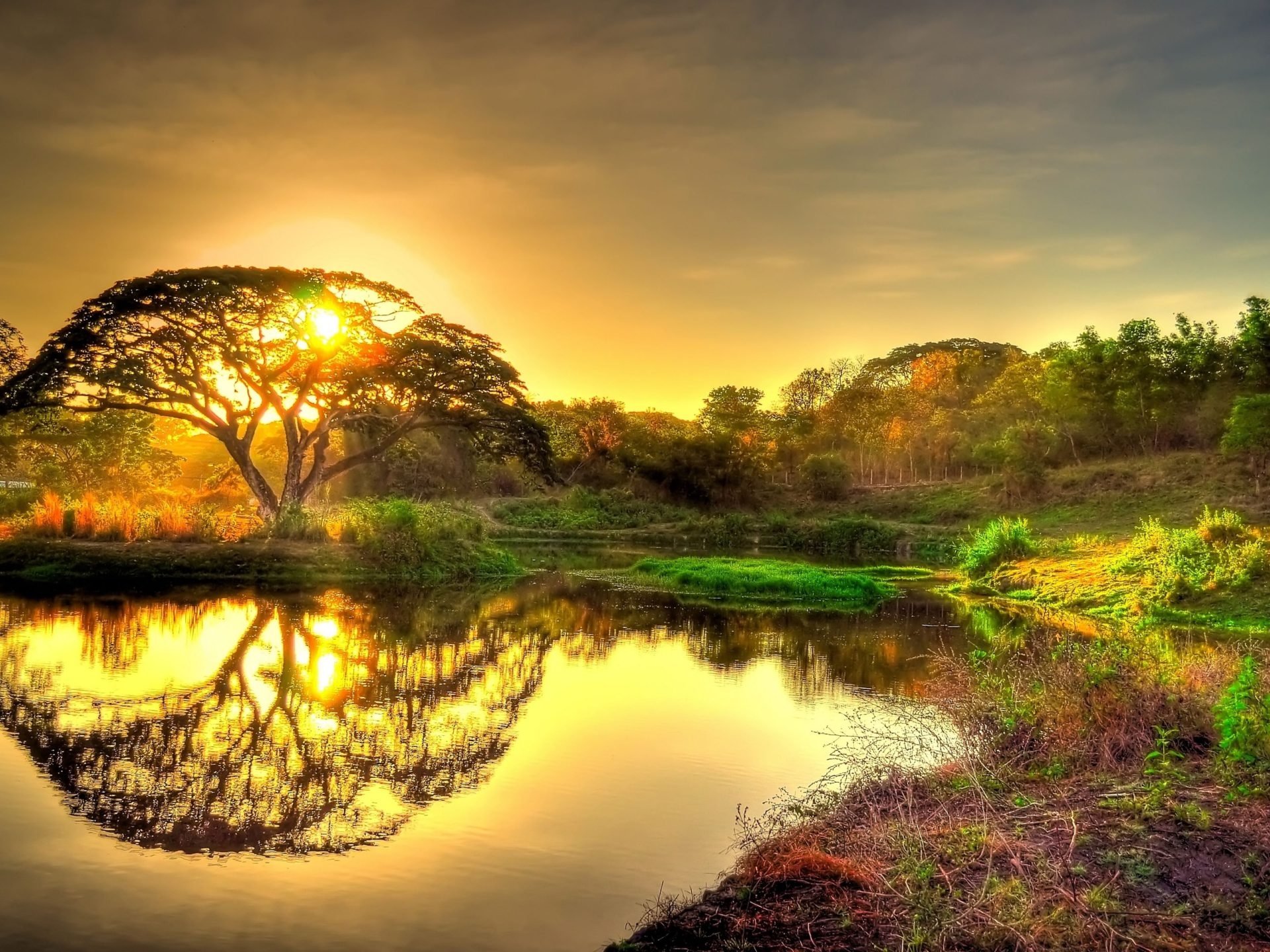 1920x1440 Beautiful Gold Sunrise Sky Clouds Tree Lake Reflection In Water Landscape 4k Ultra HD Wallpaper Download At Wallpaper, Wallpaper13.com, Desktop