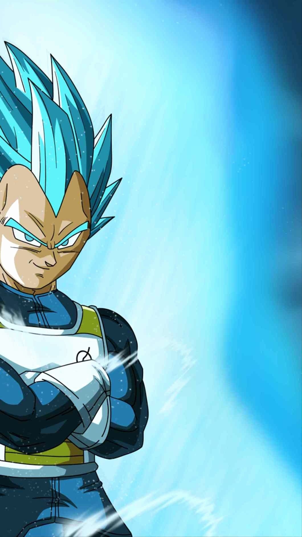 1060x1890 Vegeta Blue Wallpaper Unique Ve A God Wallpaper, Phone