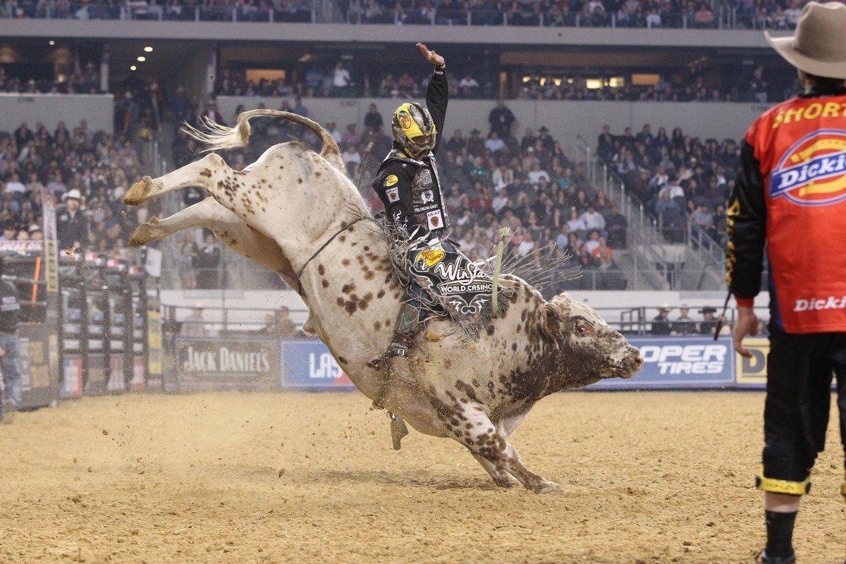 1200x800 Professional bull riders, Desktop