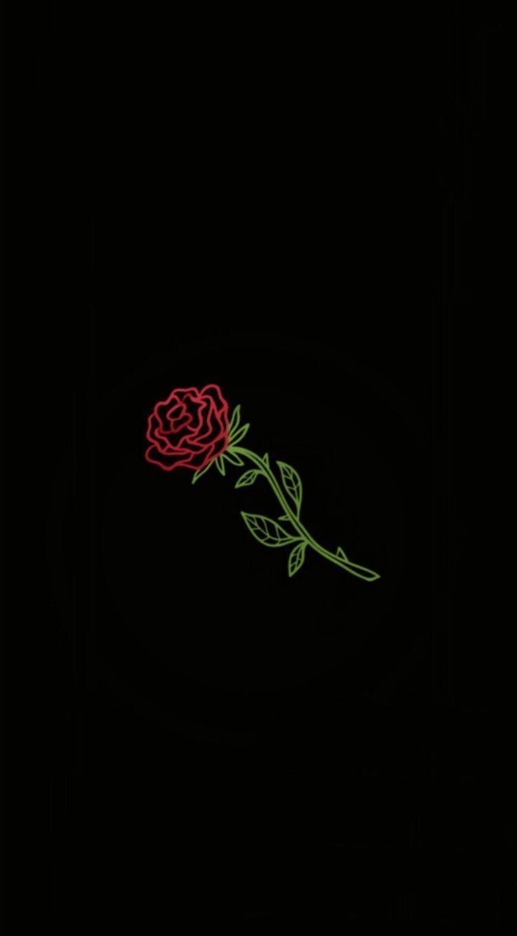 750x1360 Black Rose Aesthetic Wallpaper, Phone