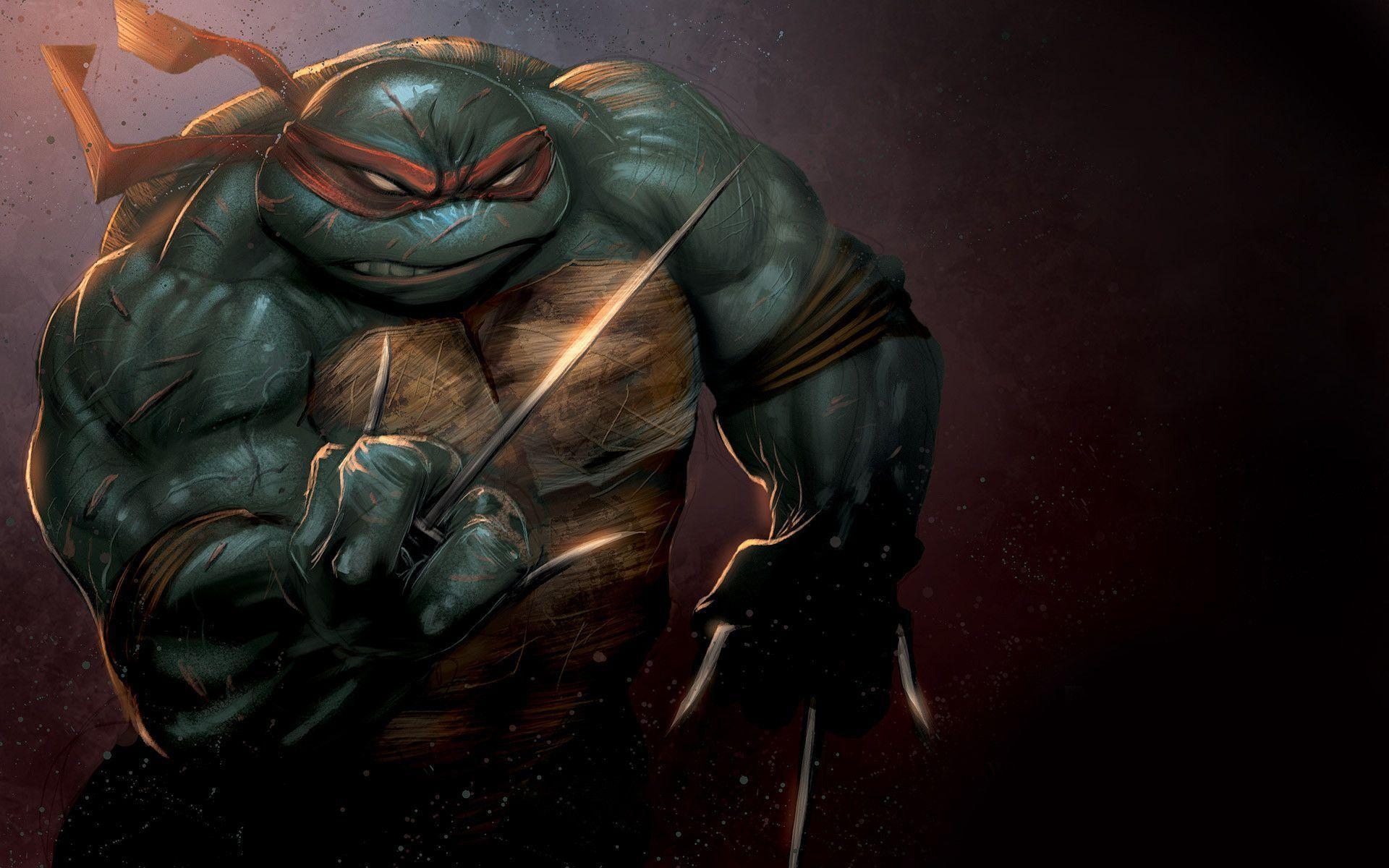 1920x1200 Ninja Turtle Wallpaper Full HD, Desktop