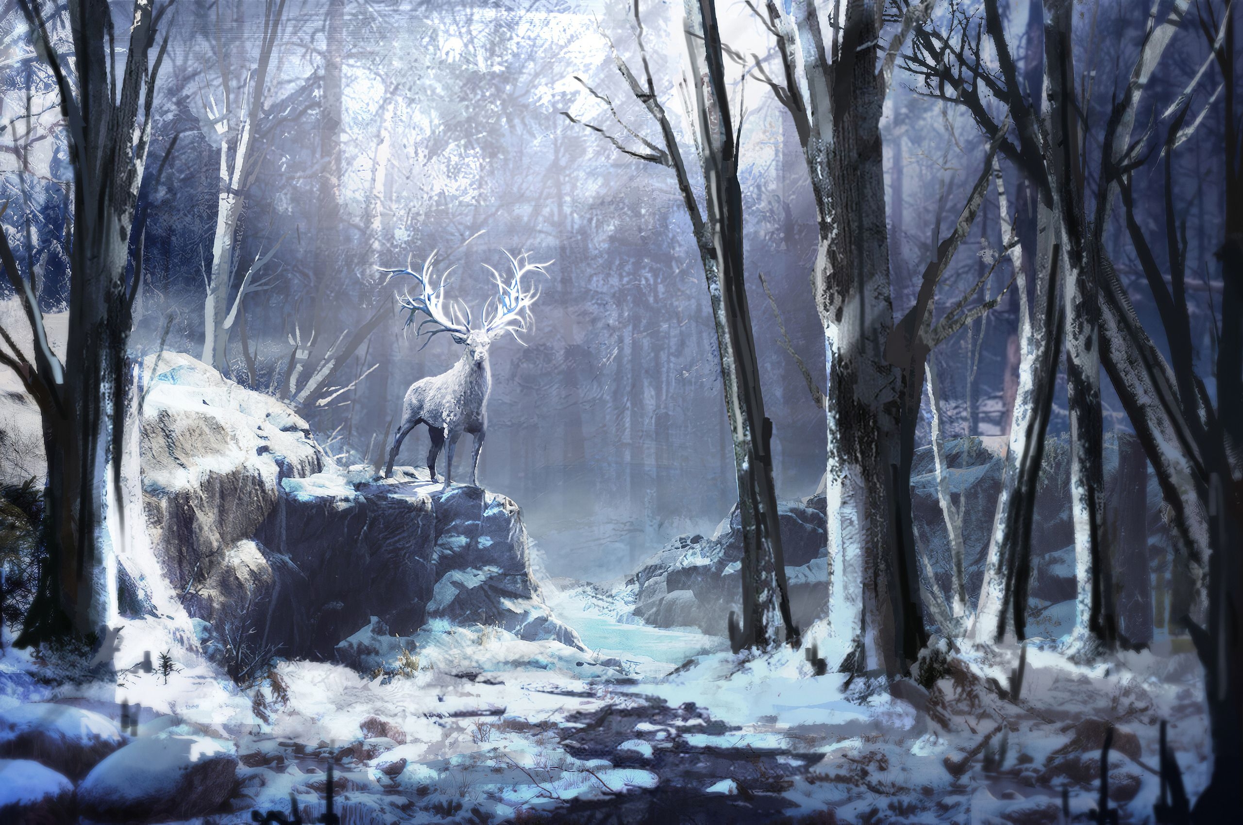 2560x1700 Winter Forest Reindeer 4k Chromebook Pixel HD 4k Wallpaper, Image, Background, Photo and Picture, Desktop