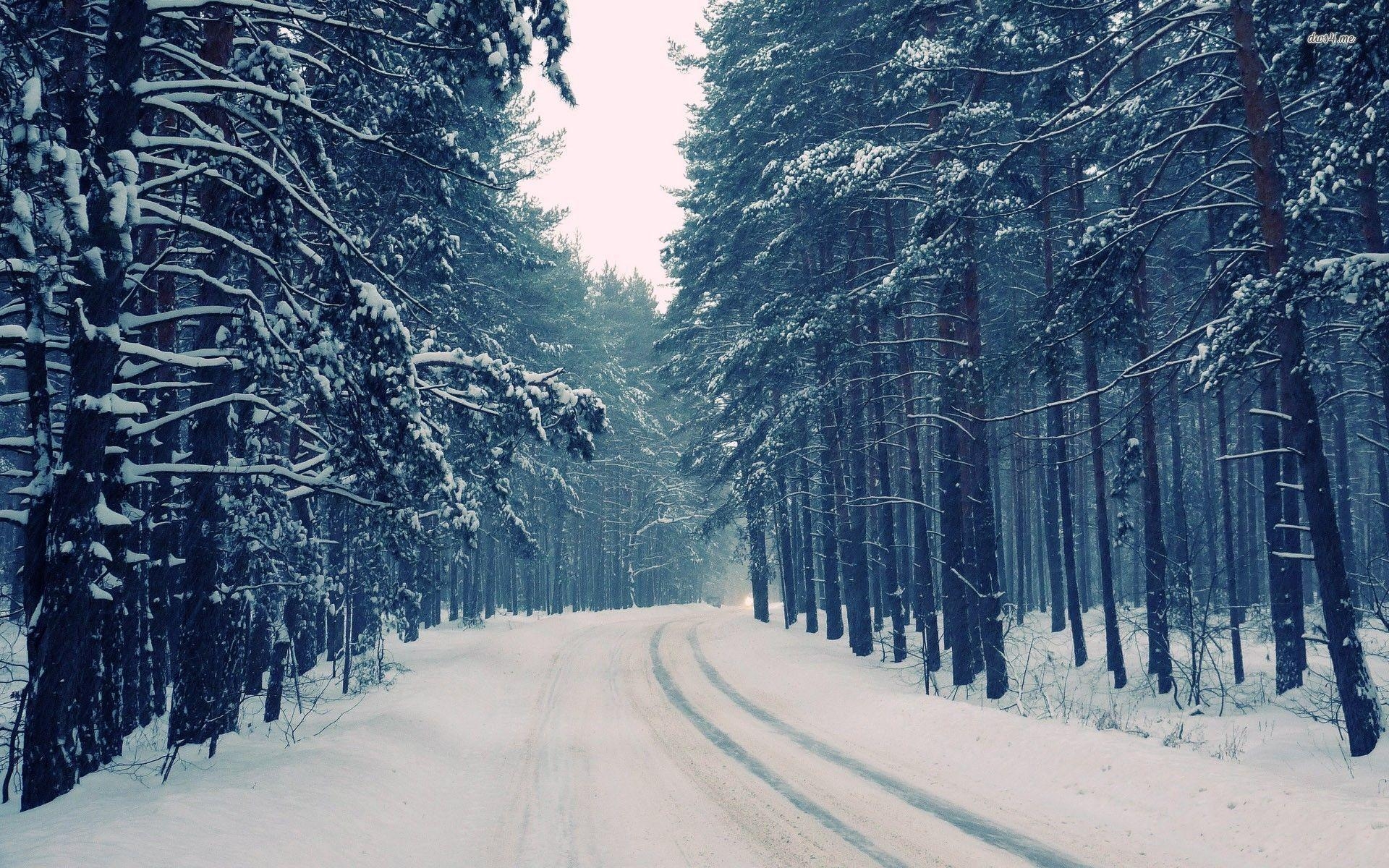 1920x1200 Snowy roadest wallpaper wallpaper - #, Desktop