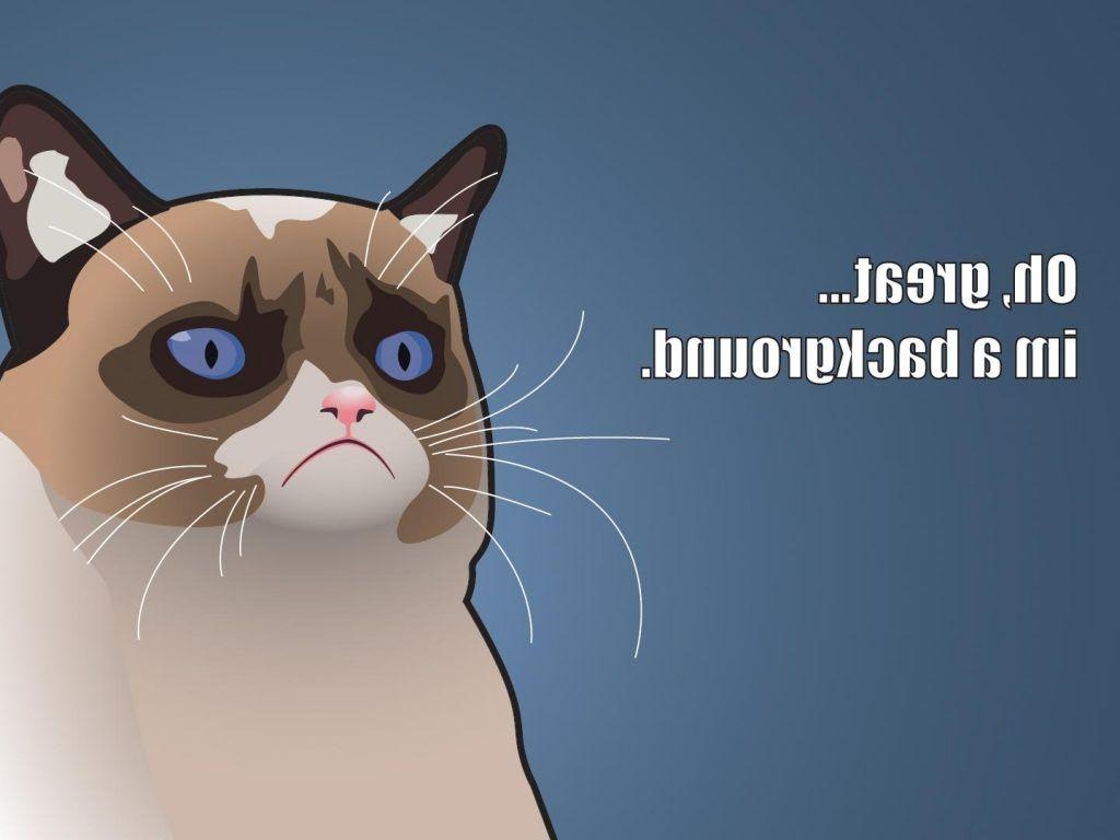 1030x770 Download Grumpy Cat Wallpaper C2Y4S, Desktop