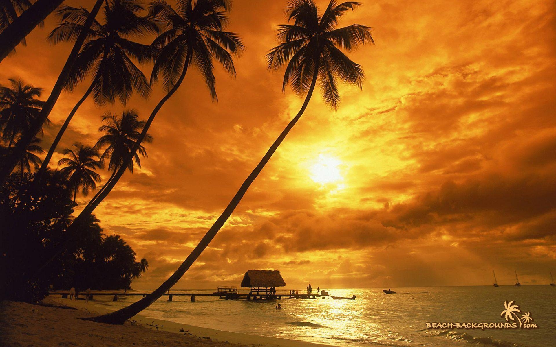 1920x1200 Tropical island Sunset Wallpaper, Desktop