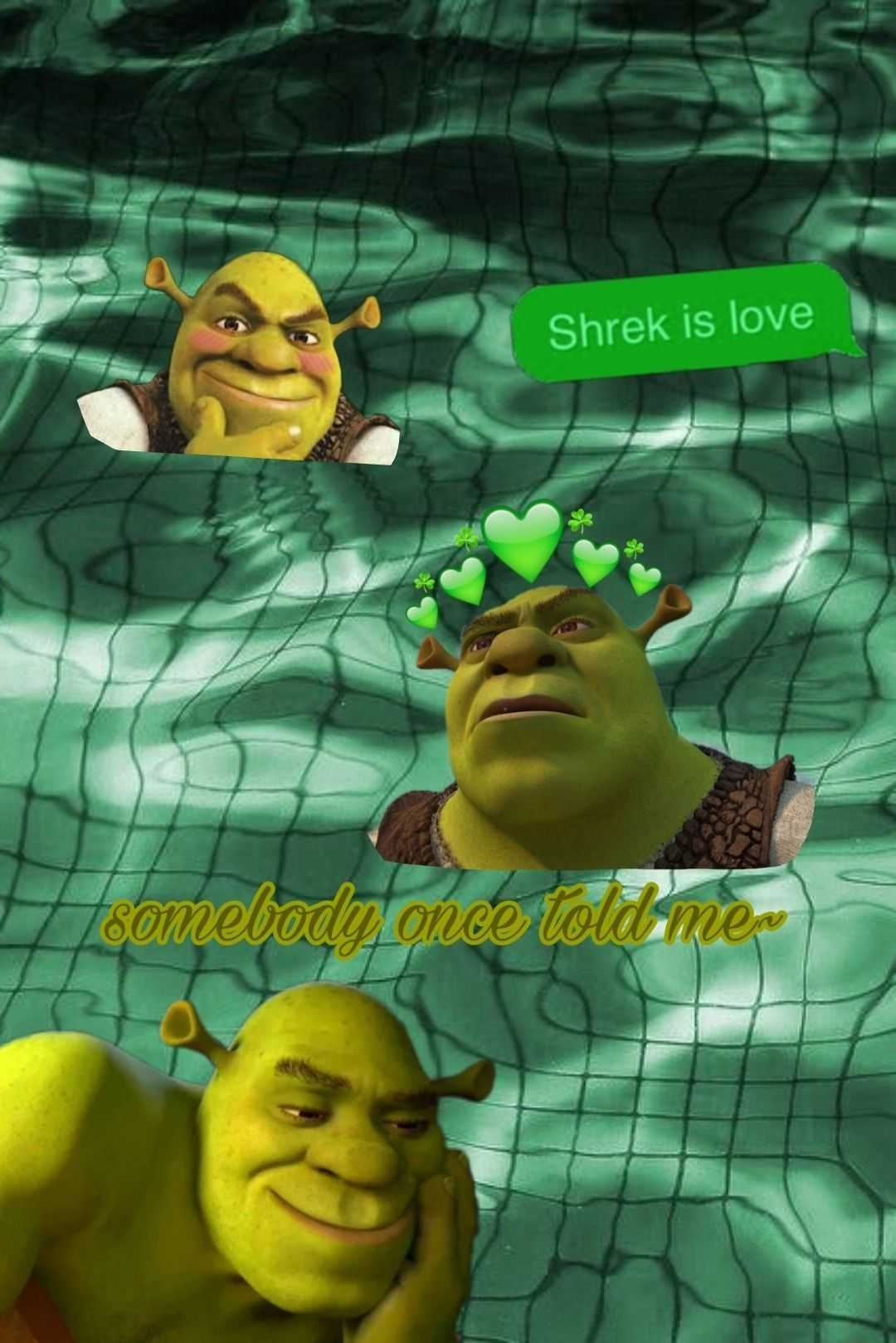 1080x1620 iPhone Shrek Wallpaper, Phone