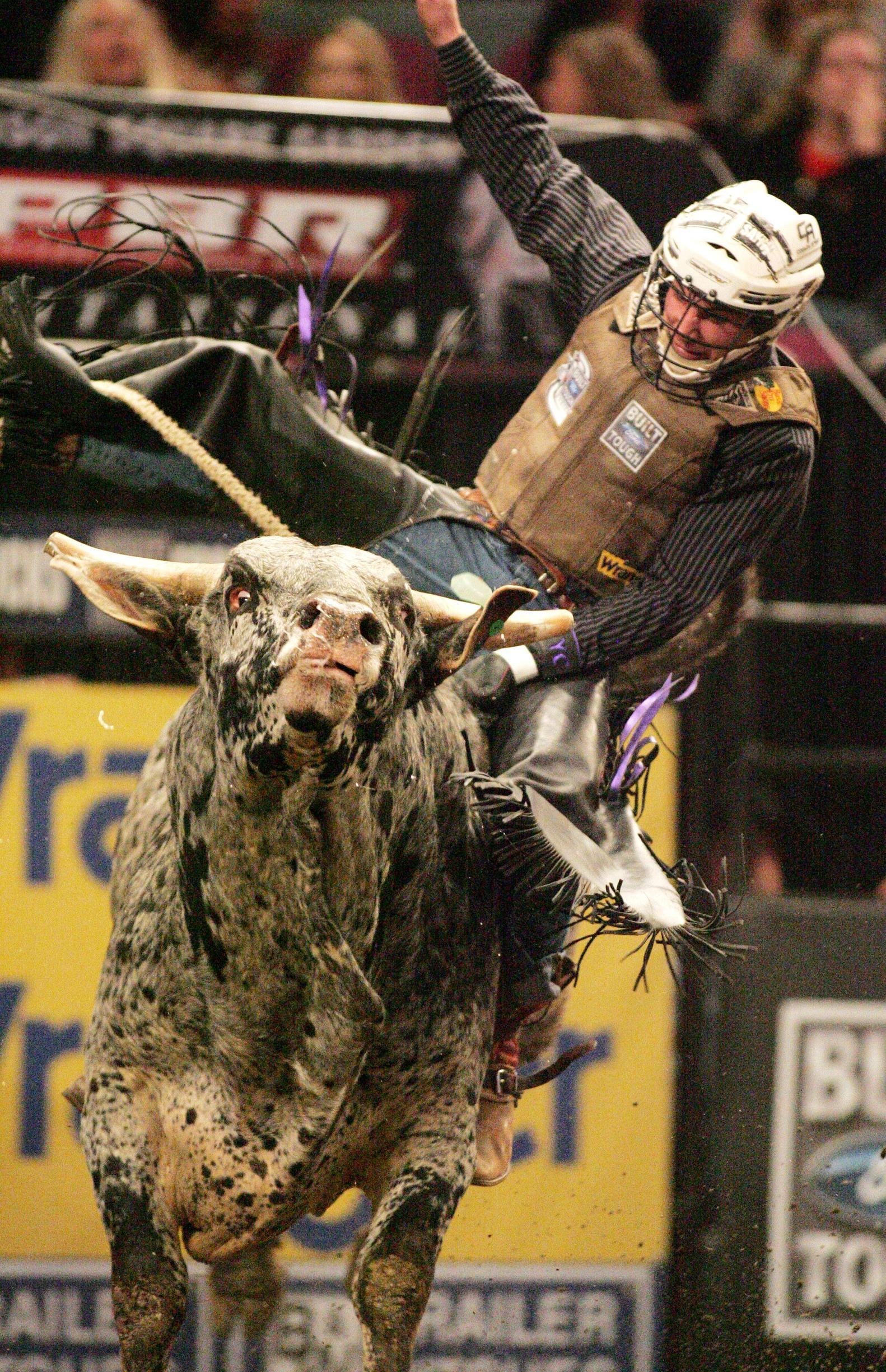 1590x2450 Bullriding Wallpaper. Bullriding Wallpaper, Phone