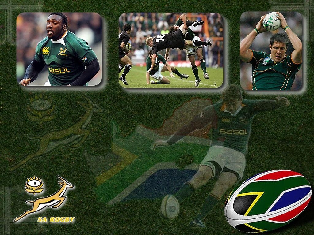 1030x770 Springboks Download HD Wallpaper and Free Image, Desktop