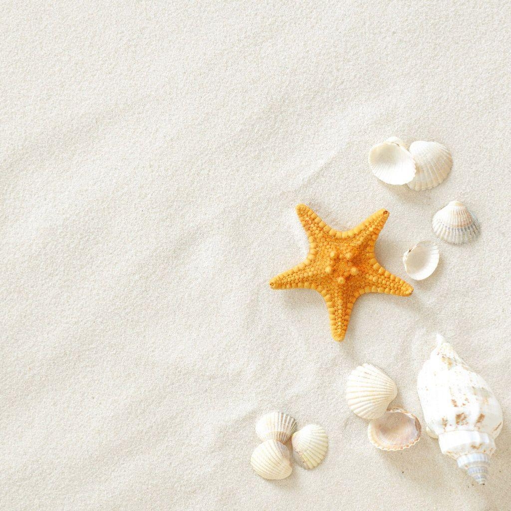 1030x1030 whitesandb_, Phone