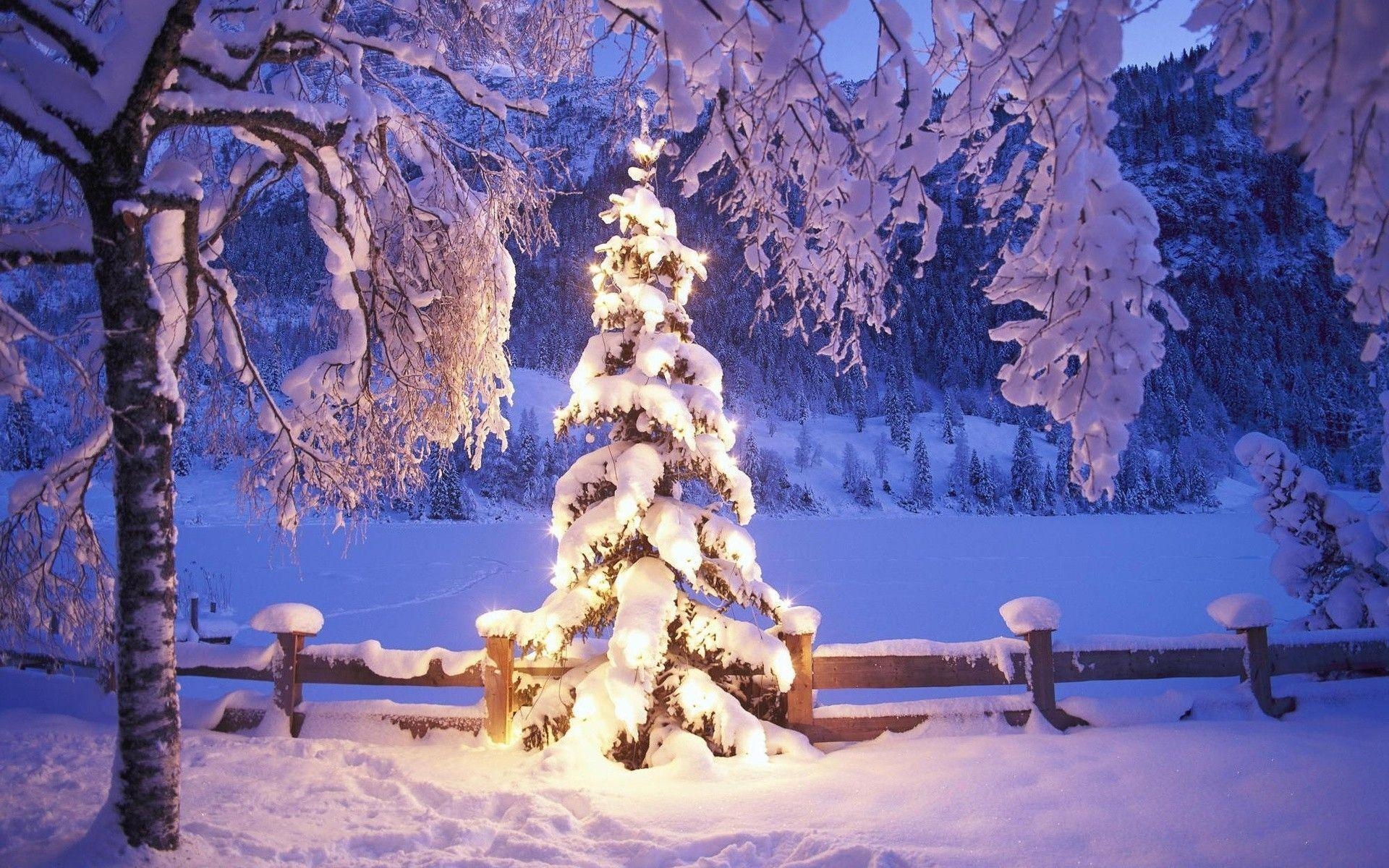 1920x1200 Christmas landscape desktop wallpaper snow picture in HD, Desktop