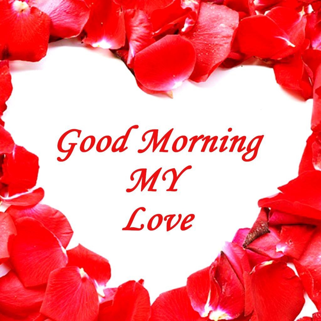 1030x1030 Lover Whatsapp Wallpaper Good Morning Image, Phone