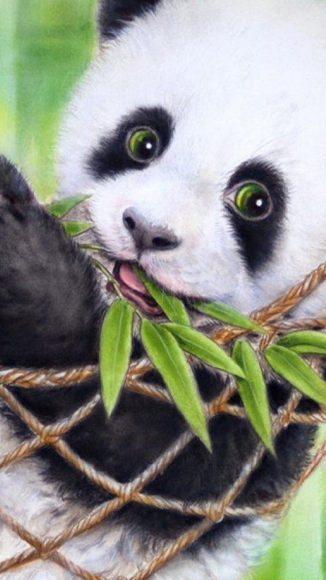 1080x1920 Hd Panda Wallpaper, Phone