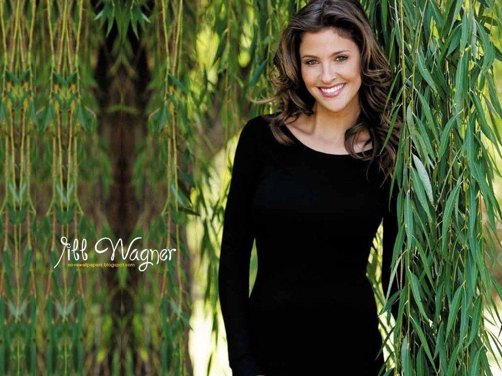 1030x770 image For > Jill Wagner Wallpaper, Desktop