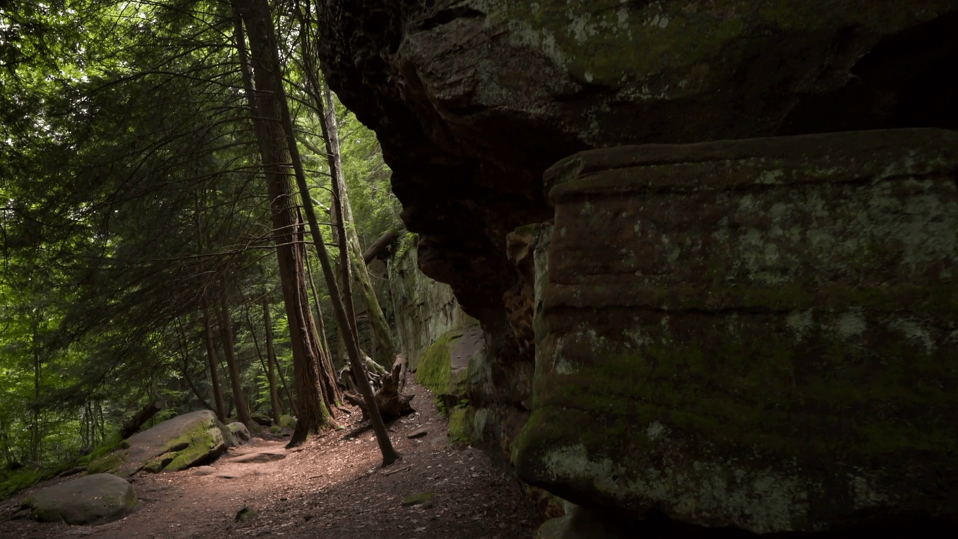 1920x1080 Stabilized hike in the forest at Cuyahoga Valley National Park, Desktop