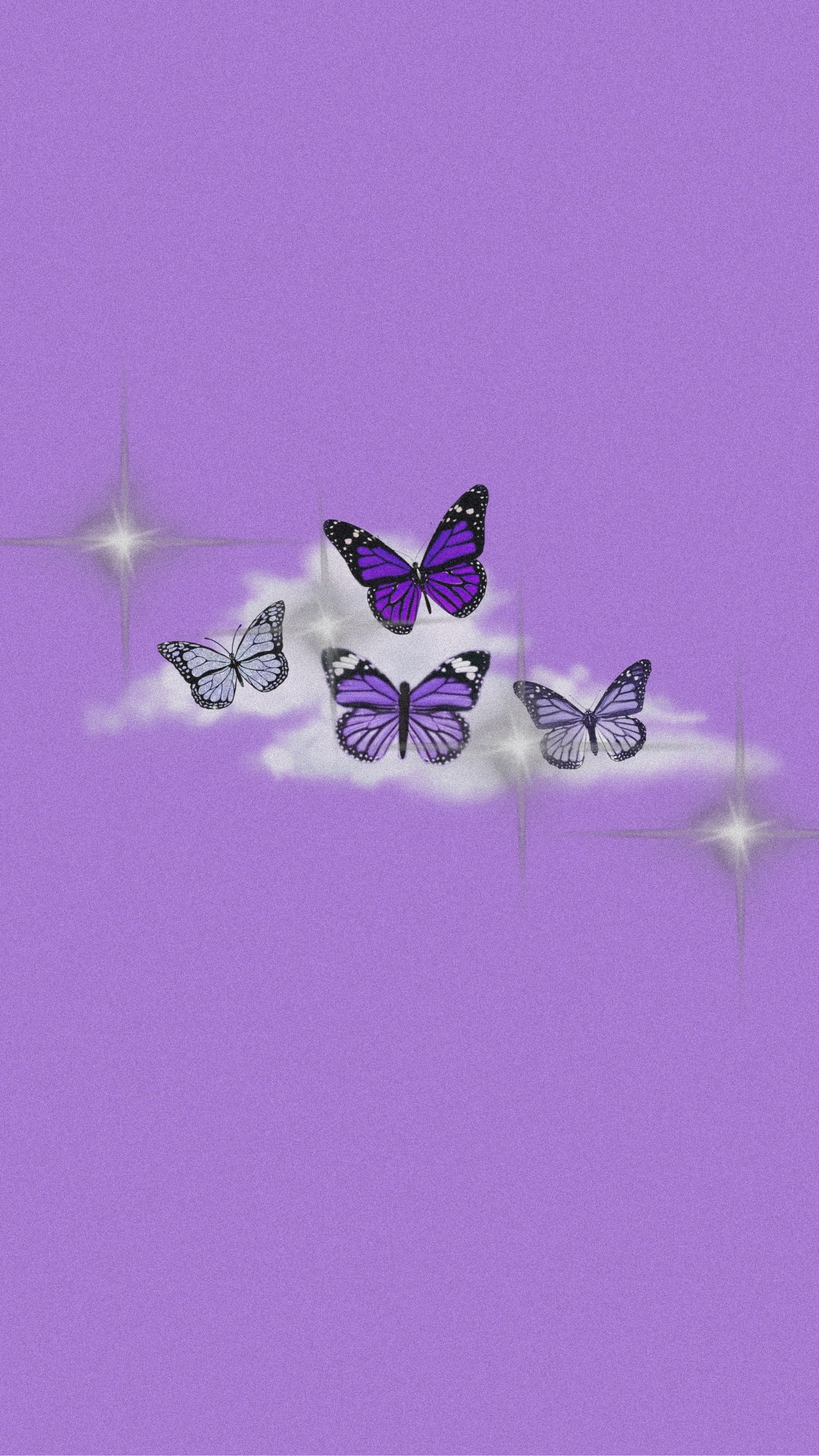 1950x3470 Purple butterfly, Phone