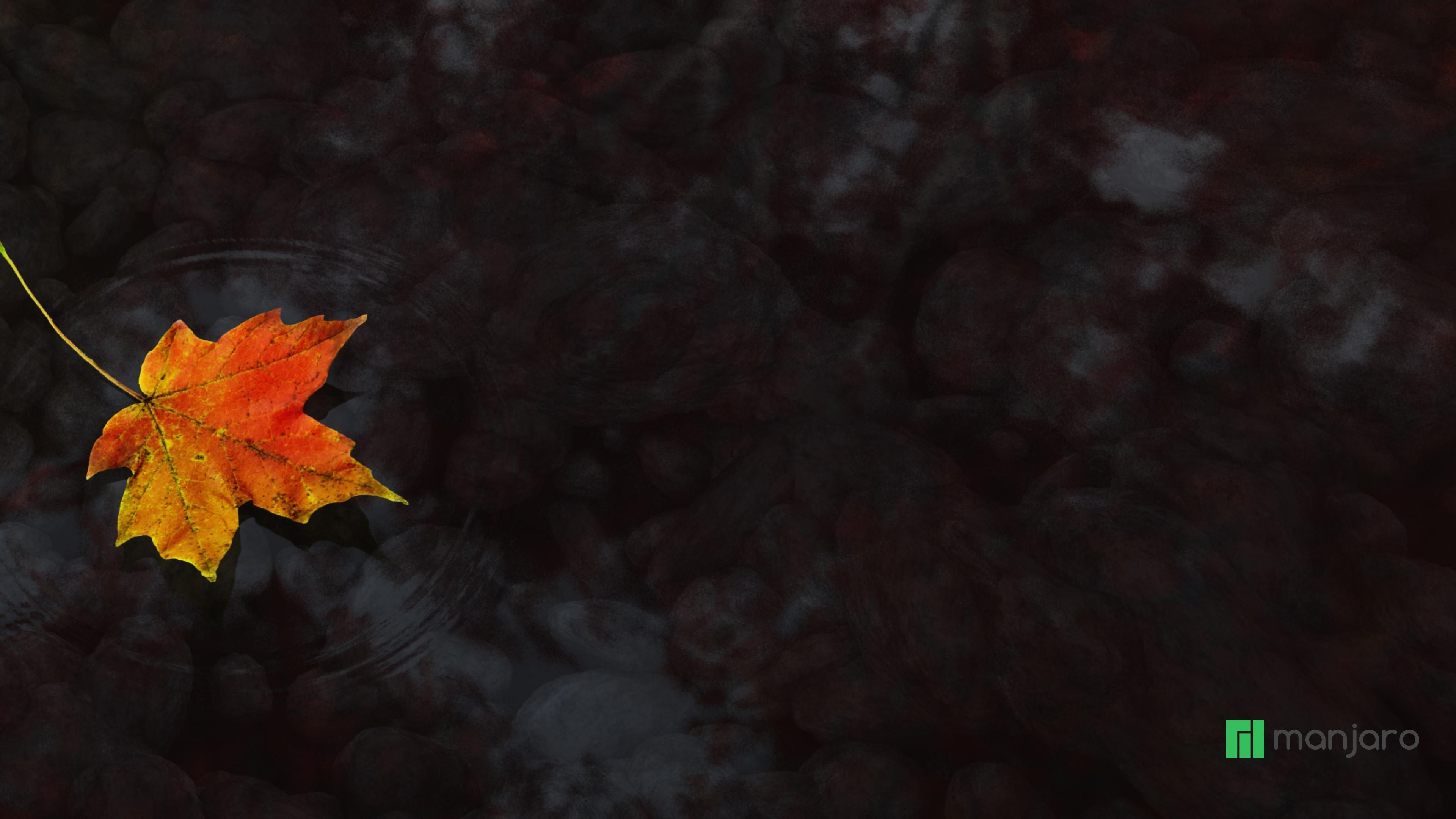 3840x2160 Maple Leaf HD Wallpaper, Desktop