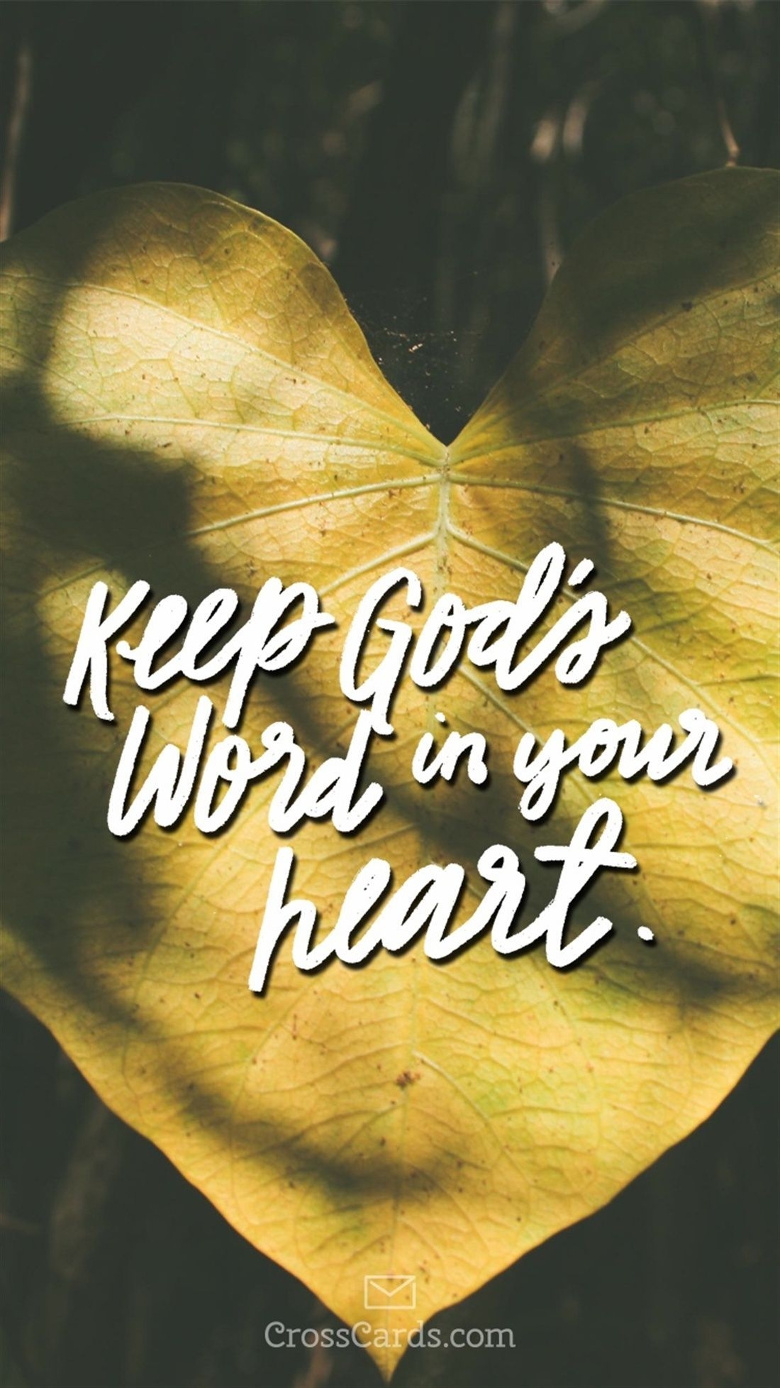 1100x1960 Keep God's Word in Your Heart Phone Wallpaper. S word, Words, God, Phone