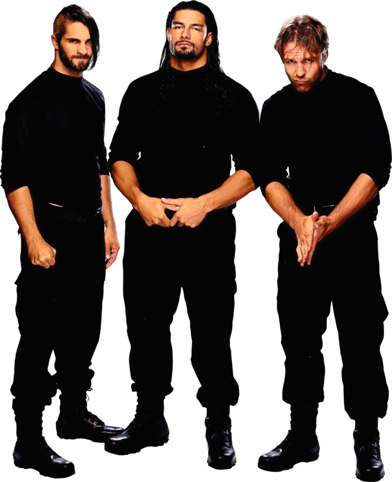 810x990 Wwe Shield Wallpaper, Phone