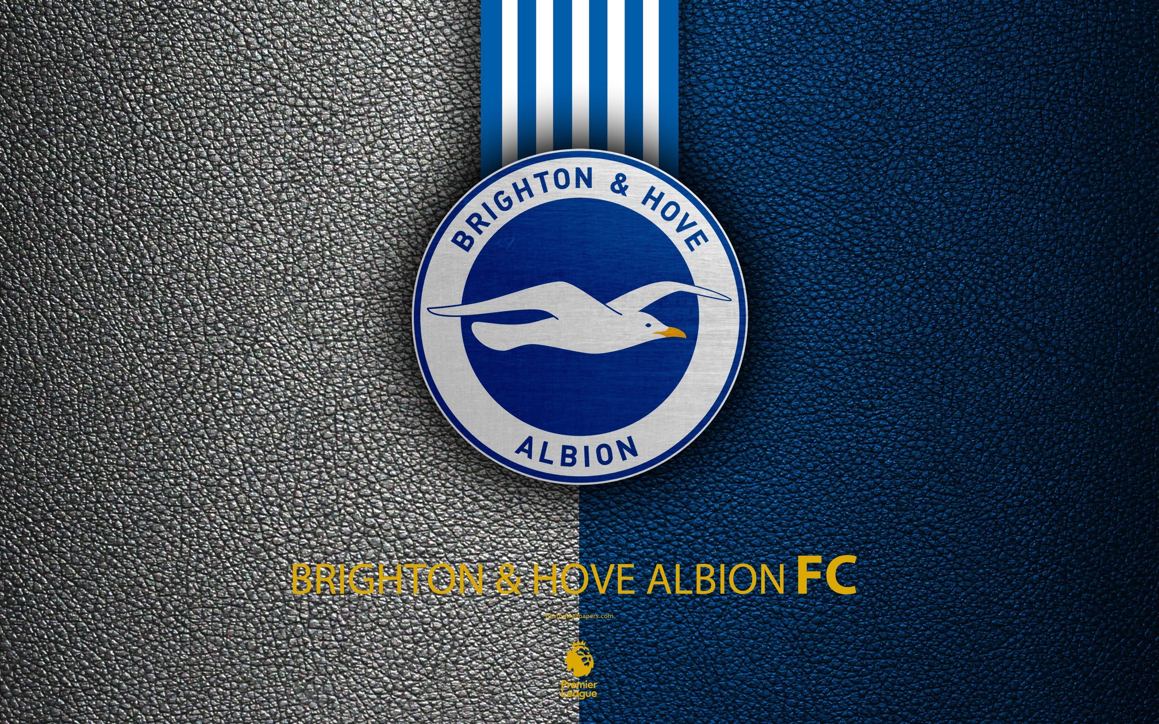 3840x2400 Download wallpaper Brighton and Hove Albion FC, 4k, English, Desktop