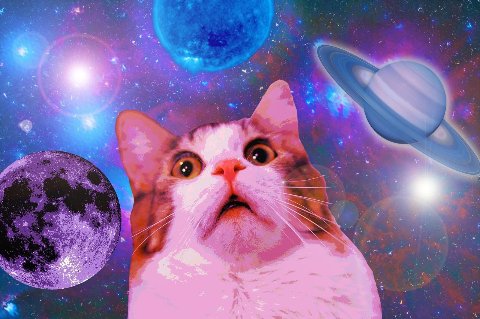 1600x1070 Cats In Space • R Spacecats. モンスターデザイン, ネコ, おもしろネコちゃん, Desktop