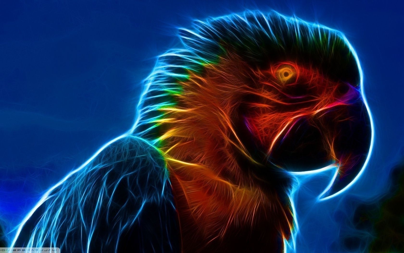 1680x1050 Parrot animal art, Desktop