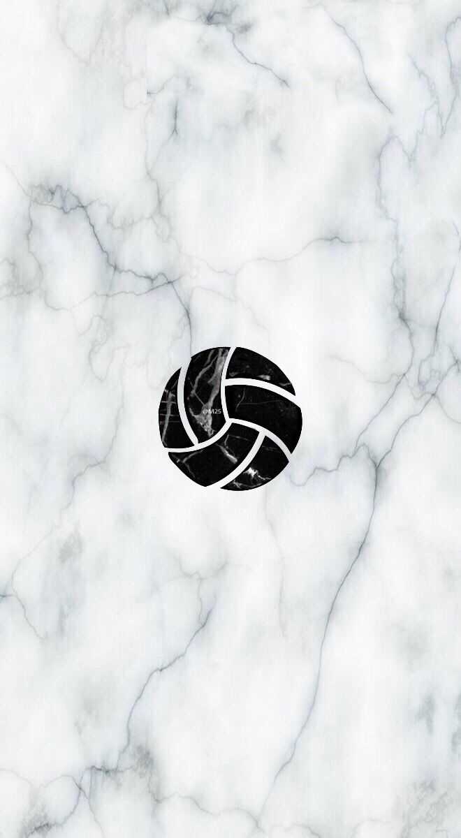 660x1200 Volleyball Wallpaper, Phone