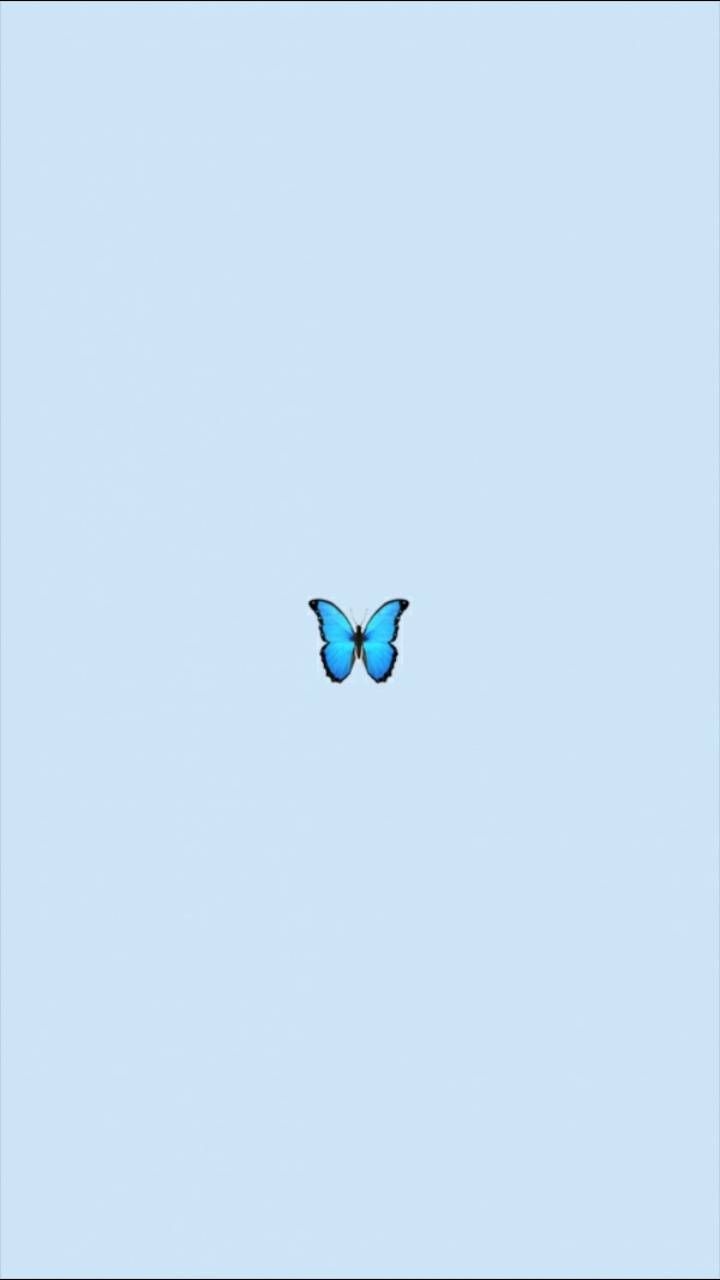 720x1280 Cute Aesthetic Wallpaper For Laptop Butterfly, Phone