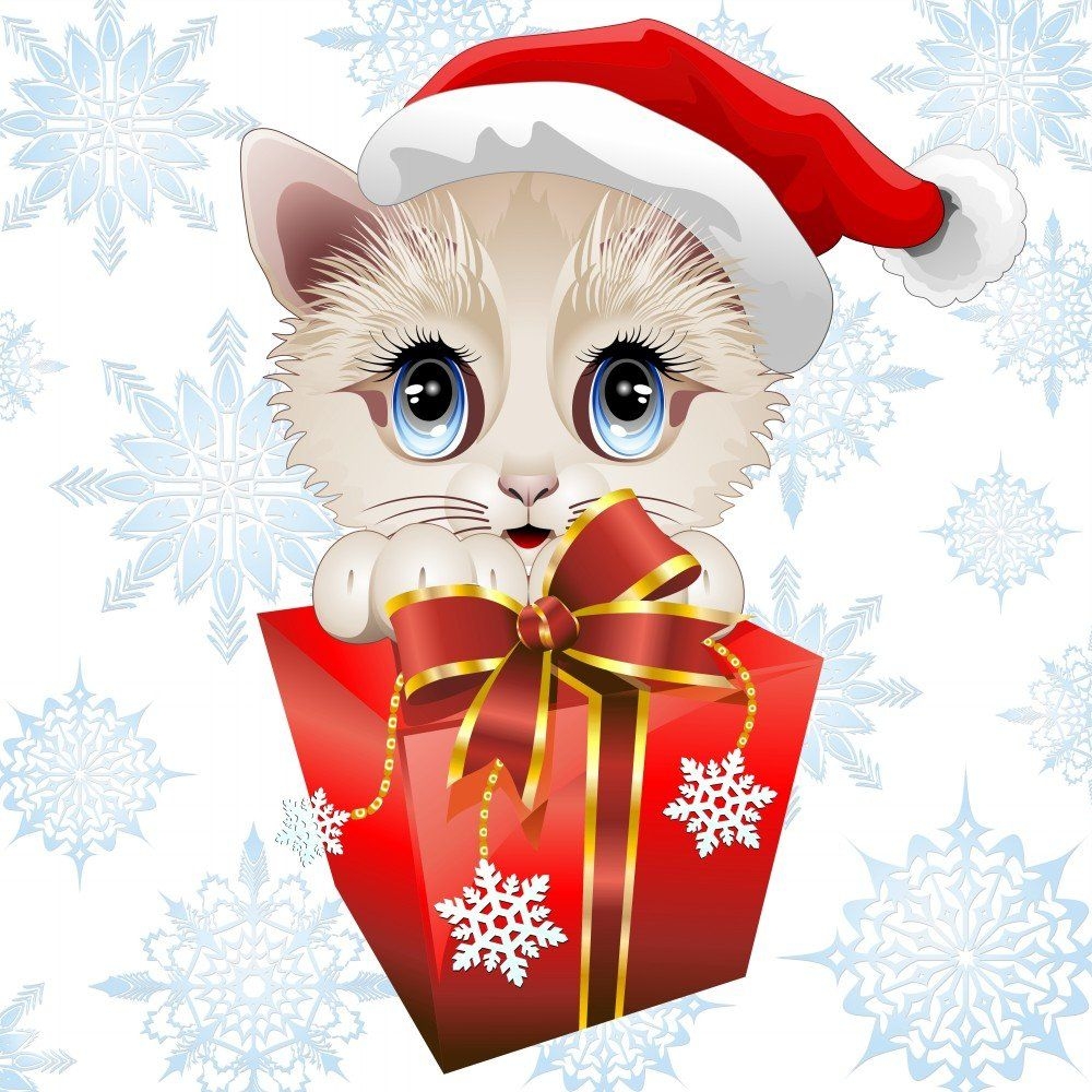 1000x1000 Free download cat funny christmas cat cartoon cartoon cat picture funny christmas [] for your Desktop, Mobile & Tablet. Explore Funny Cat Christmas Wallpaper. Funny Christmas Wallpaper, Funny Christmas, Phone