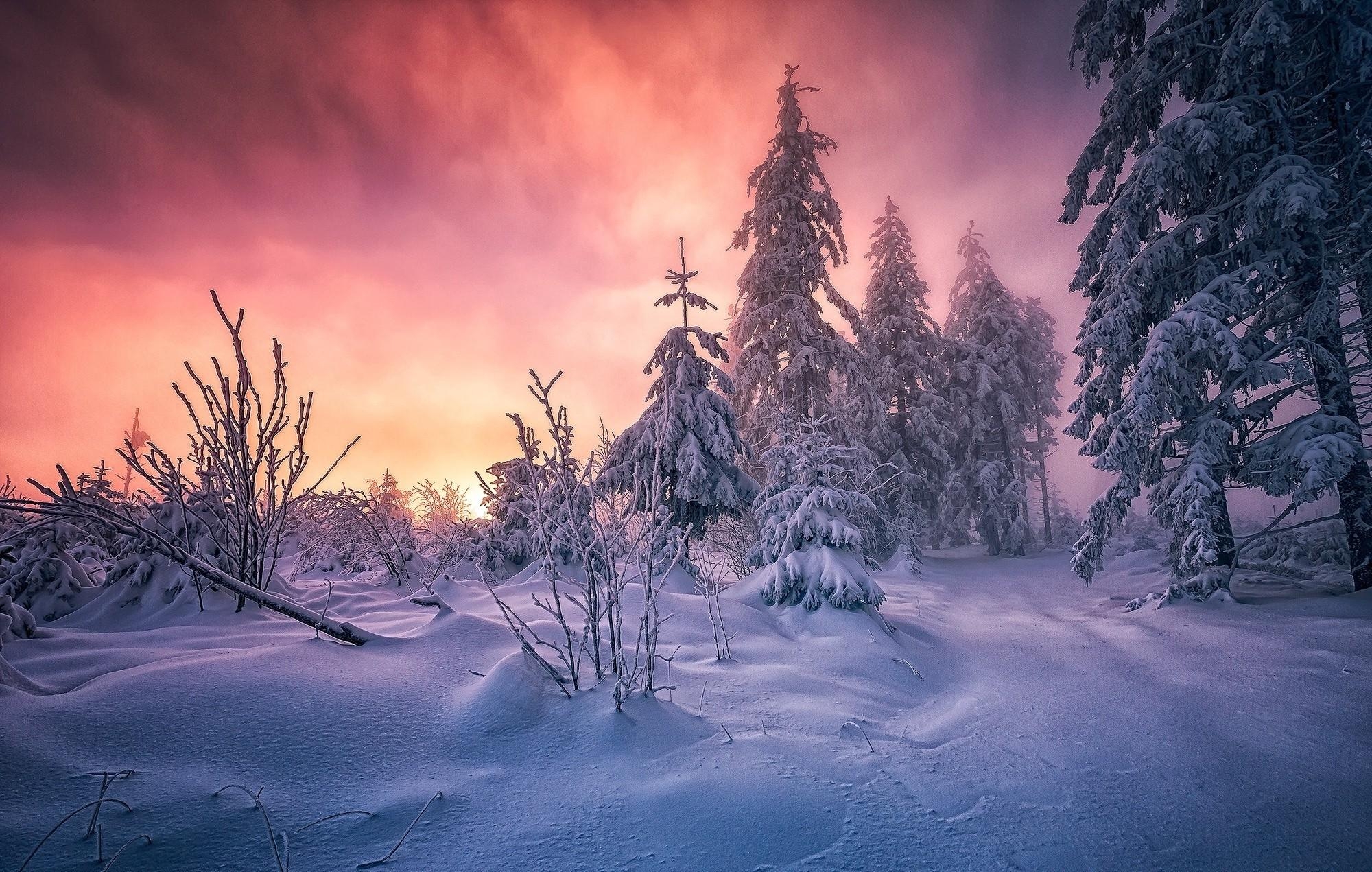 2000x1280 forest, Winter, Sunrise, Germany, Snow, Trees, Cold, Clouds, Path, Desktop