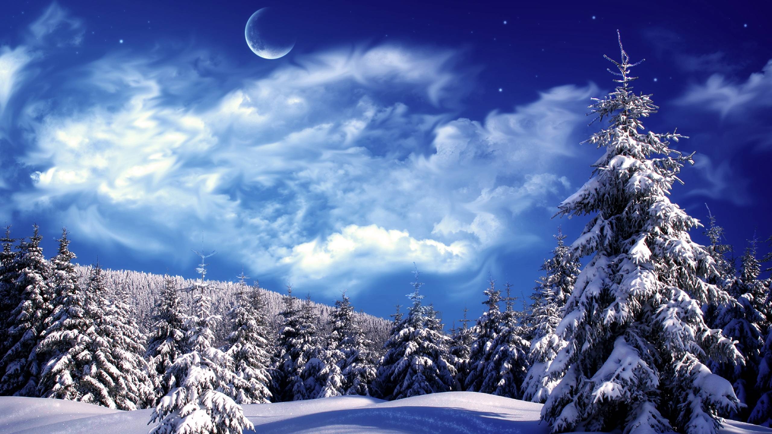 2560x1440 desktop wallpaper winter scenes, Desktop