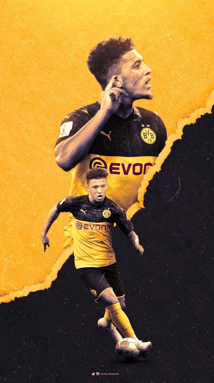 720x1280 Sancho iPhone Wallpaper, Phone