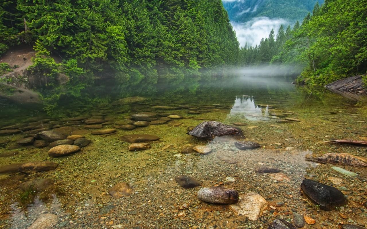 1280x800 Green Forest Clear River Rocks wallpaper. Green Forest, Desktop