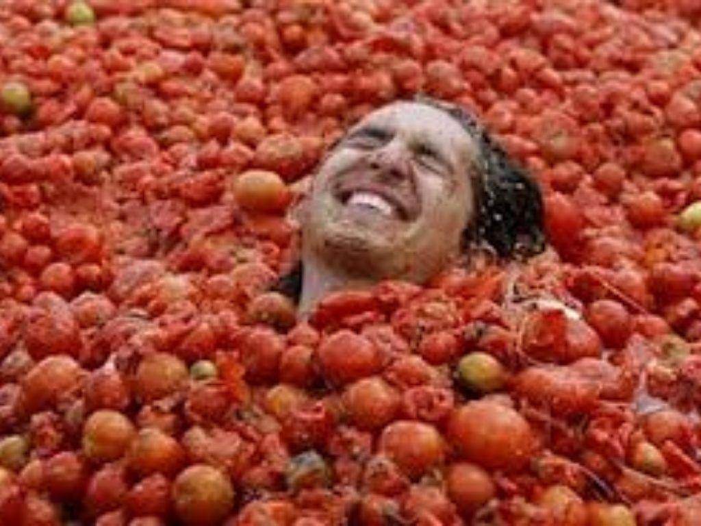 1030x770 La tomatina, Desktop