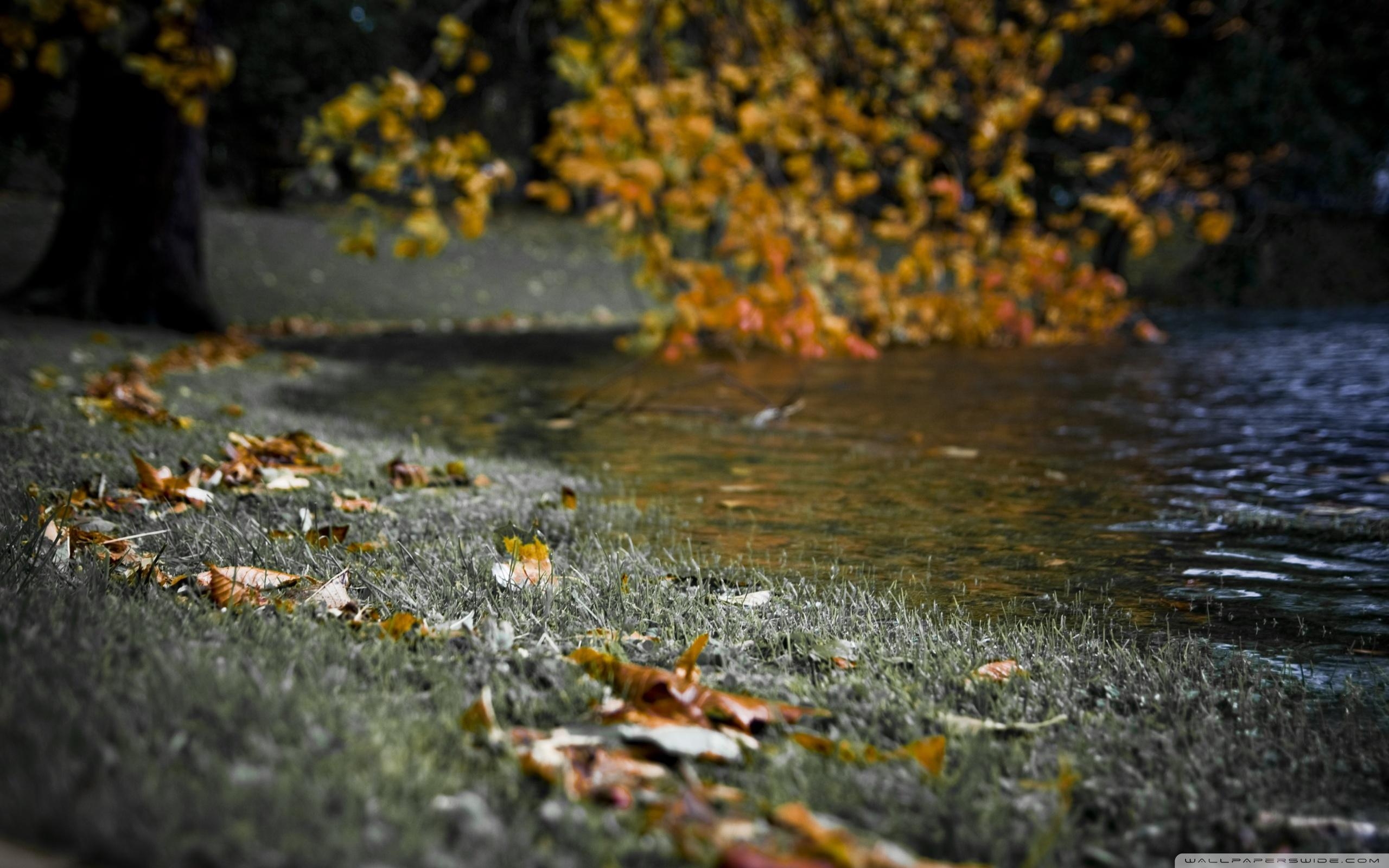 2560x1600 Autumn River Bank ❤ 4K HD Desktop Wallpaper for 4K Ultra HD TV, Desktop