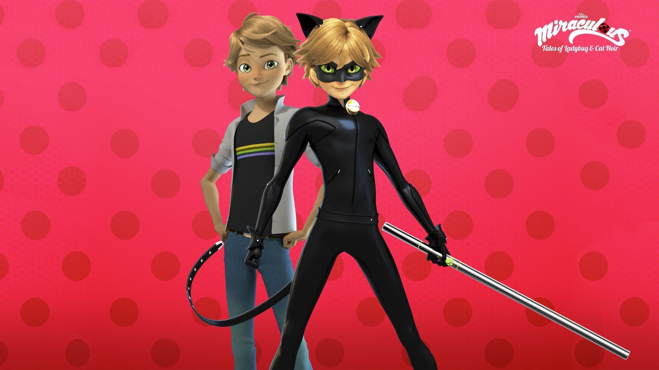 2560x1440 Miraculous Ladybug HD wallpaper, Desktop