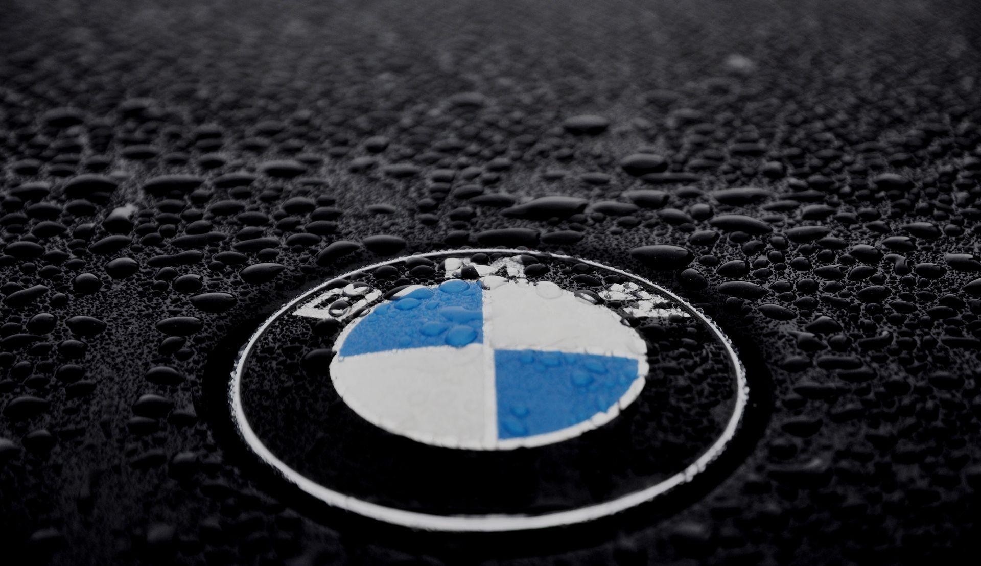 1920x1110 BMW logo, Desktop