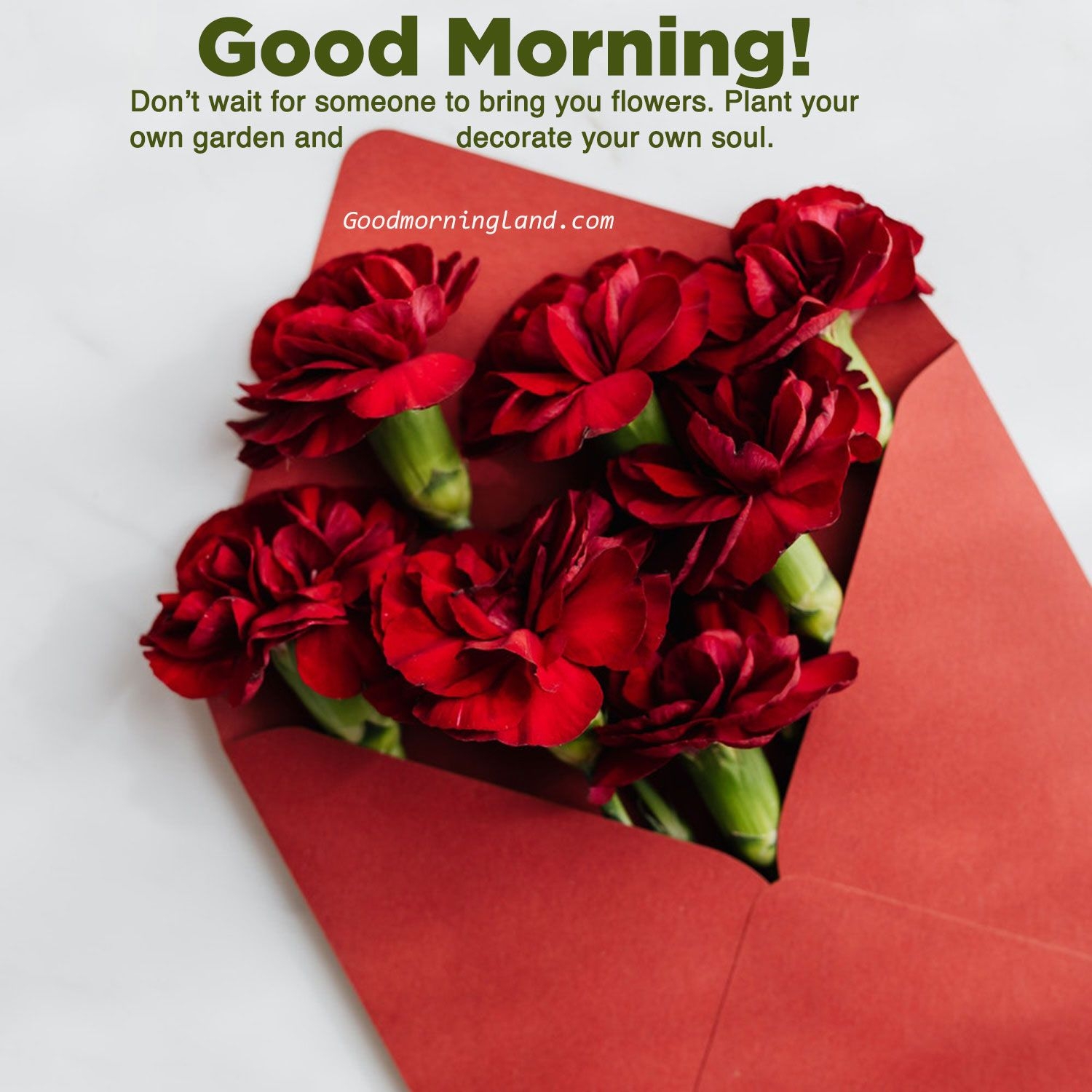 1500x1500 Latest 2020 Good morning flowers with image Morning Image, Quotes, Wishes, Messages, greetings & eCards, Phone