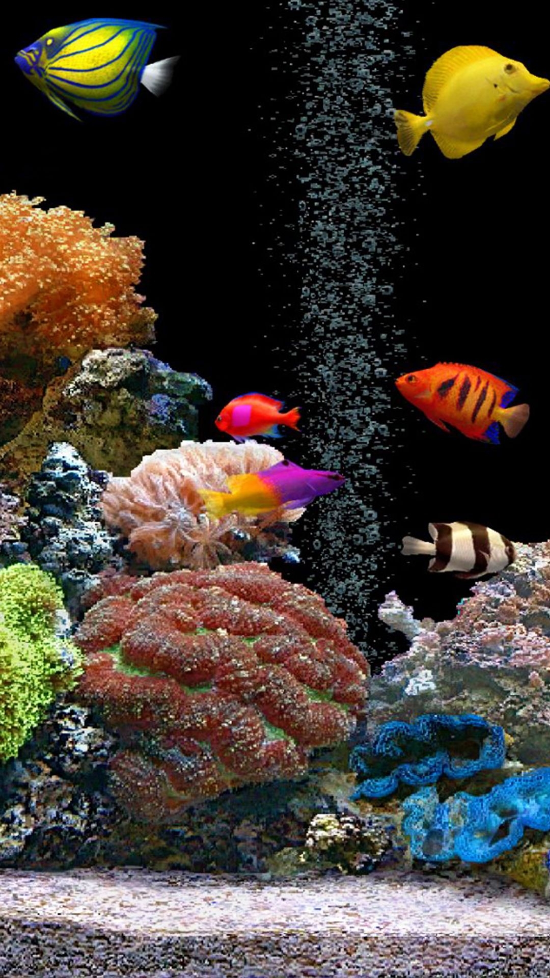 1080x1920 Fish Tank iPhone Background, Phone