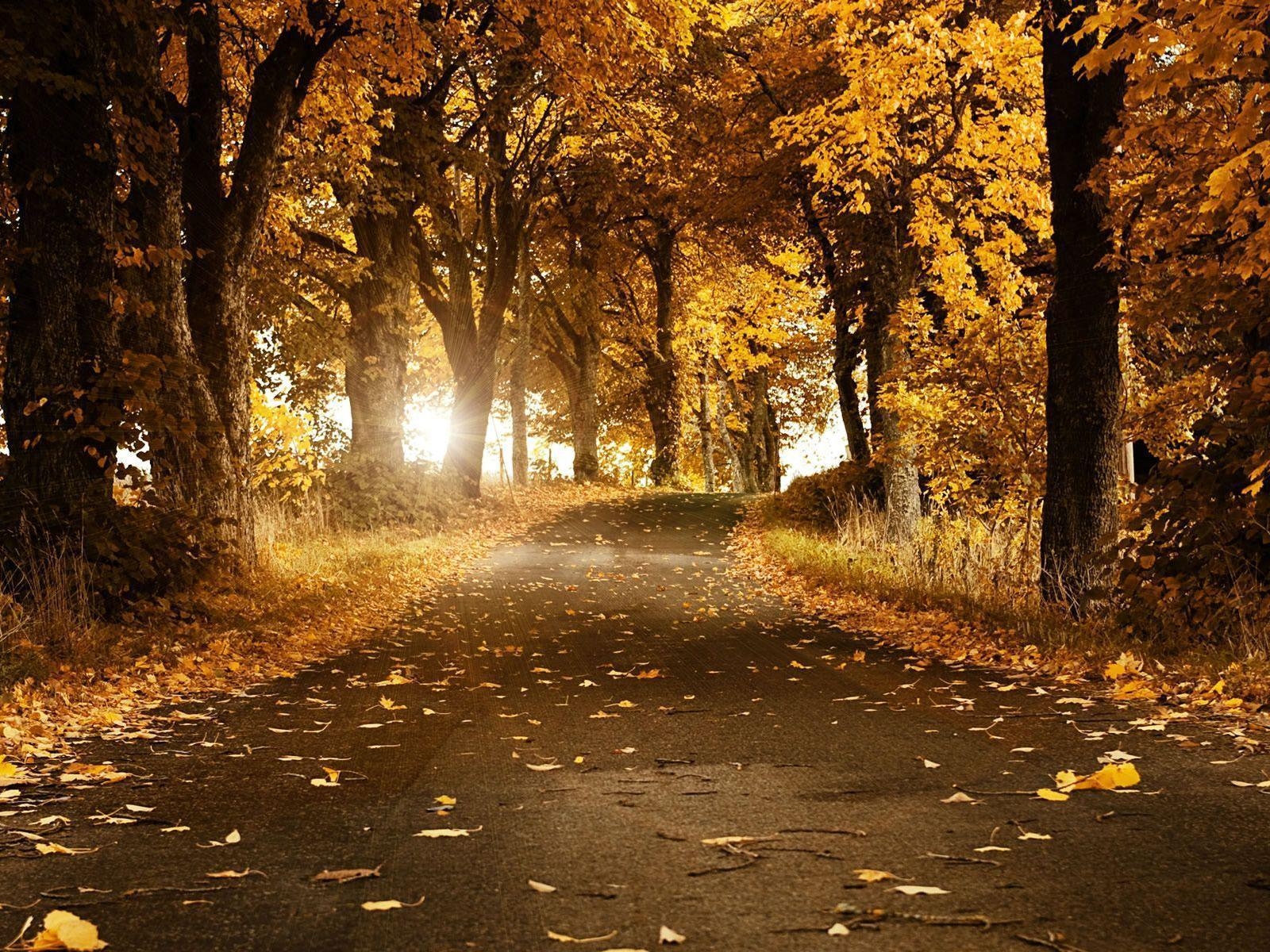 1600x1200 Wallpaper For > Beautiful Fall Wallpaper For Desktop, Desktop