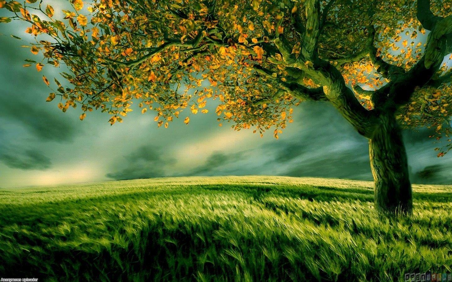 1440x900 Green Tree Wallpaper, Green Tree Picture. Original High, Desktop