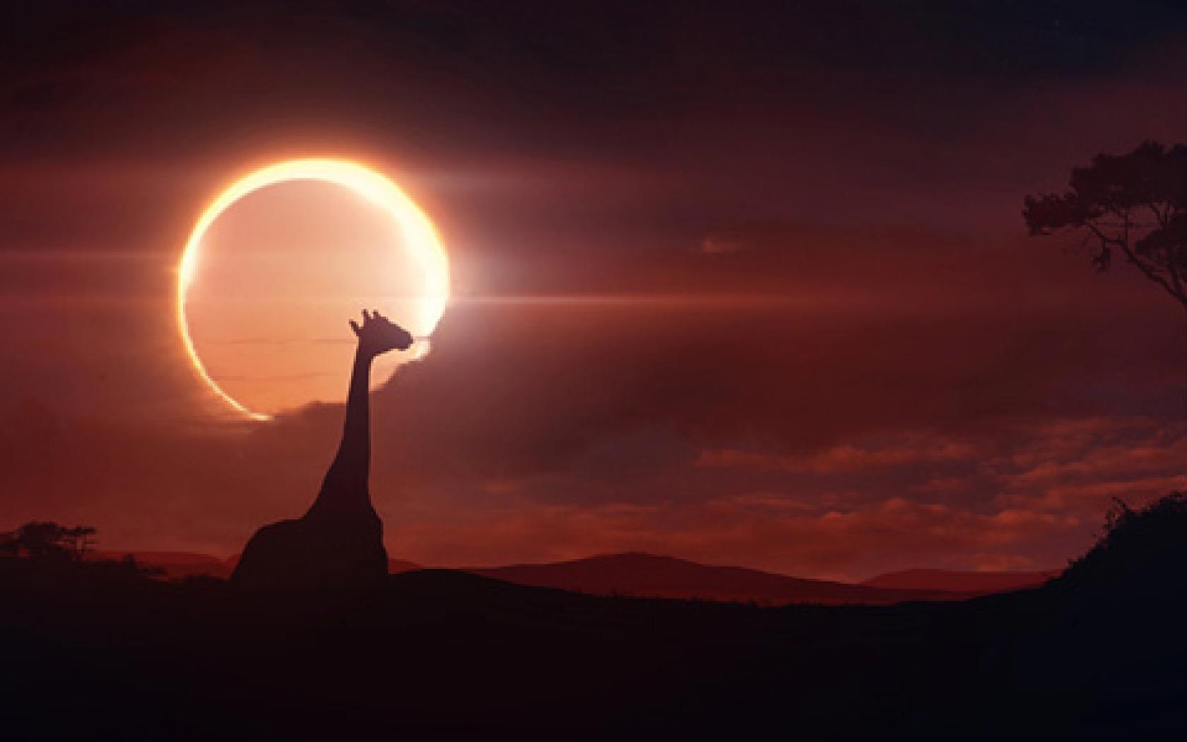 1680x1050 Solar Eclipse Wallpaper, Desktop