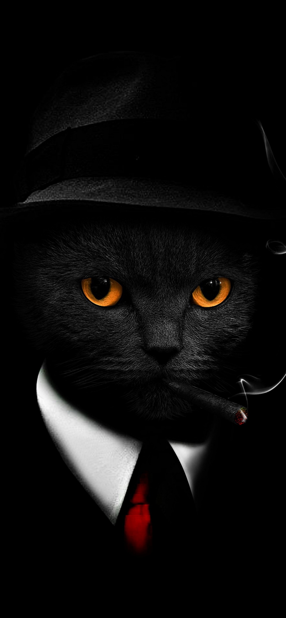 1170x2540 Black Cat Wallpaper 4K, Black background, Hat, Suit, Phone