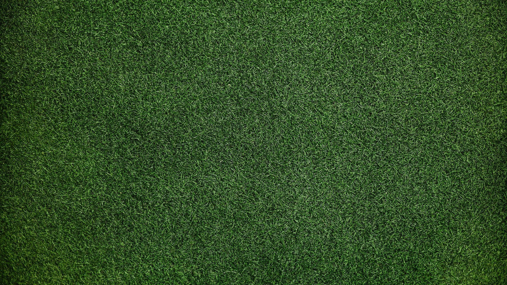 1920x1080 Download Dark Green Grass Texture Wallpaper, Desktop