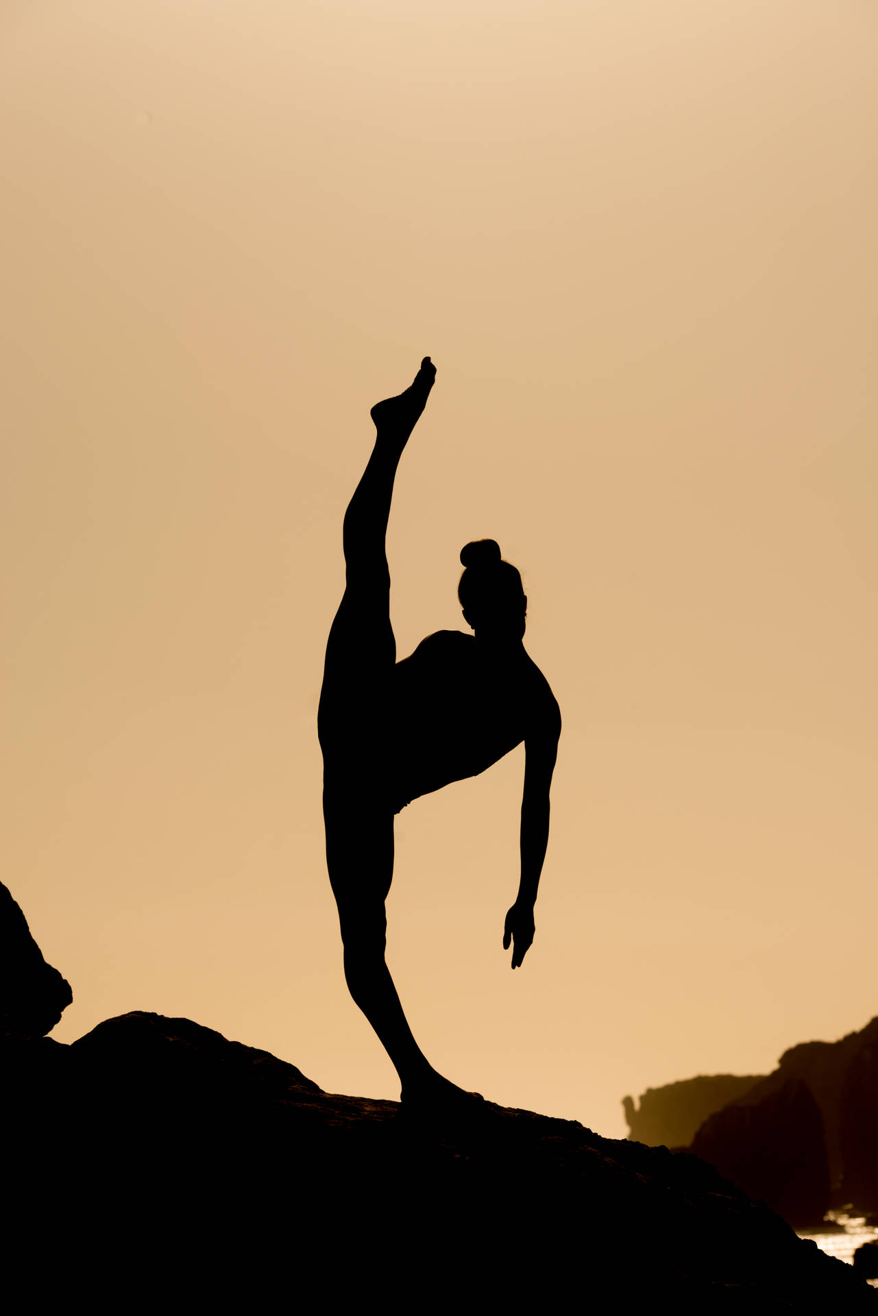 1290x1920 Download Gymnastics Leg Lift Silhouette, Phone