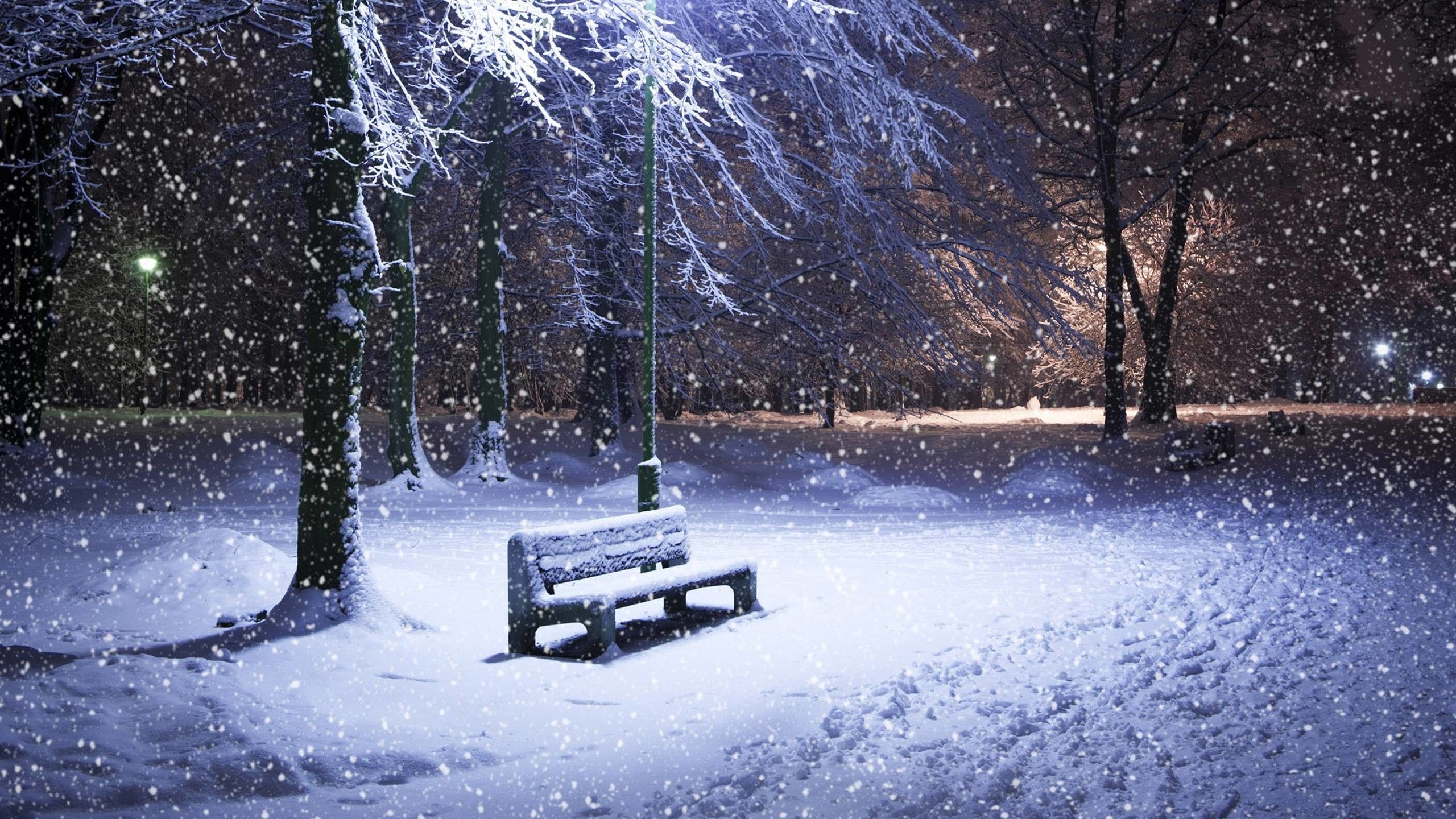 2560x1440 Winter Wallpaper, Desktop