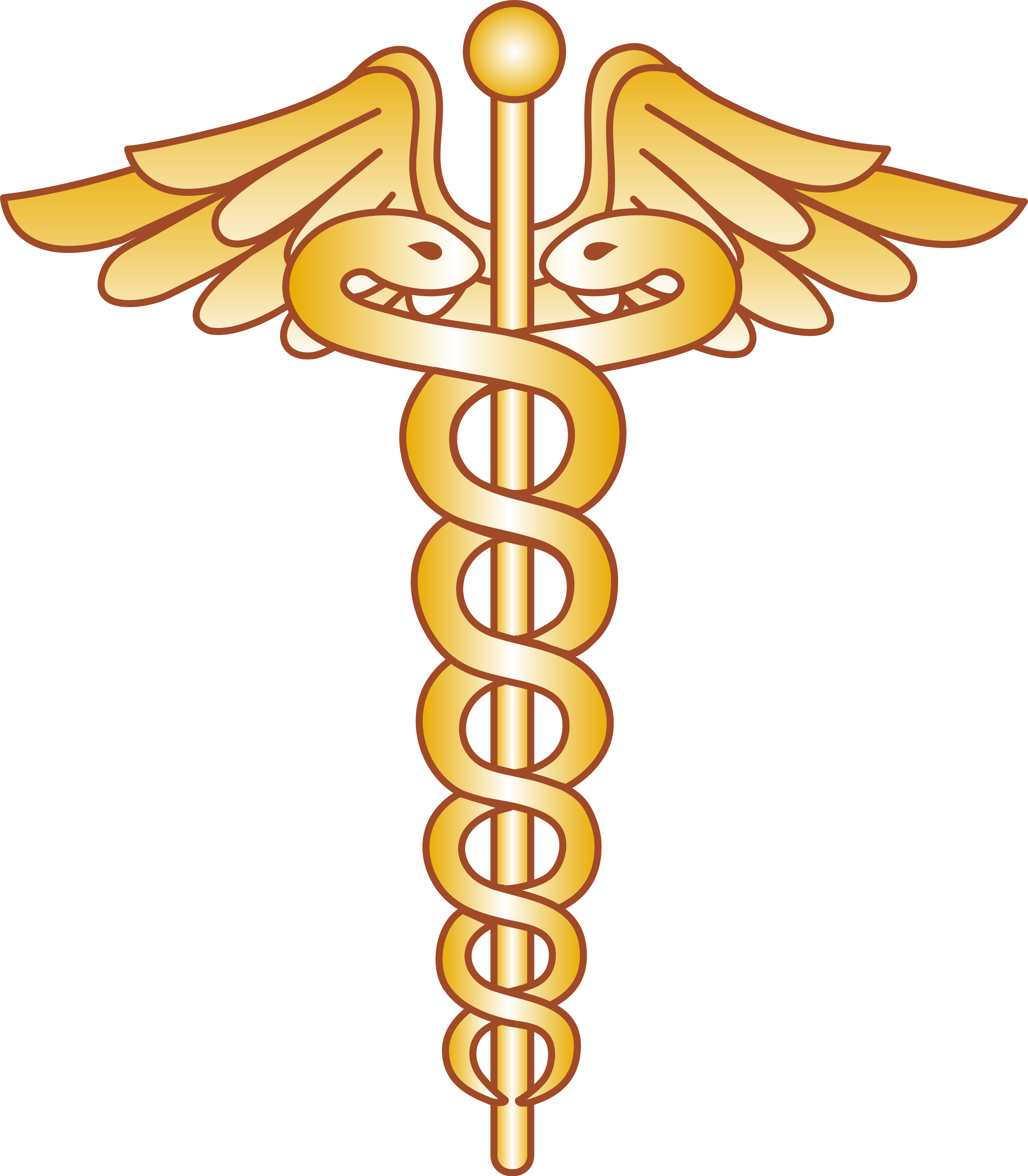 3040x3480 Free Medical Doctor Logo, Download Free.clipart Library.com, Phone