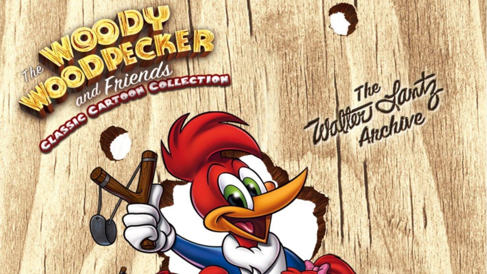 1920x1080 Woody Woodpecker Wallpaper, Woody Woodpecker High Quality #KRE67, Desktop