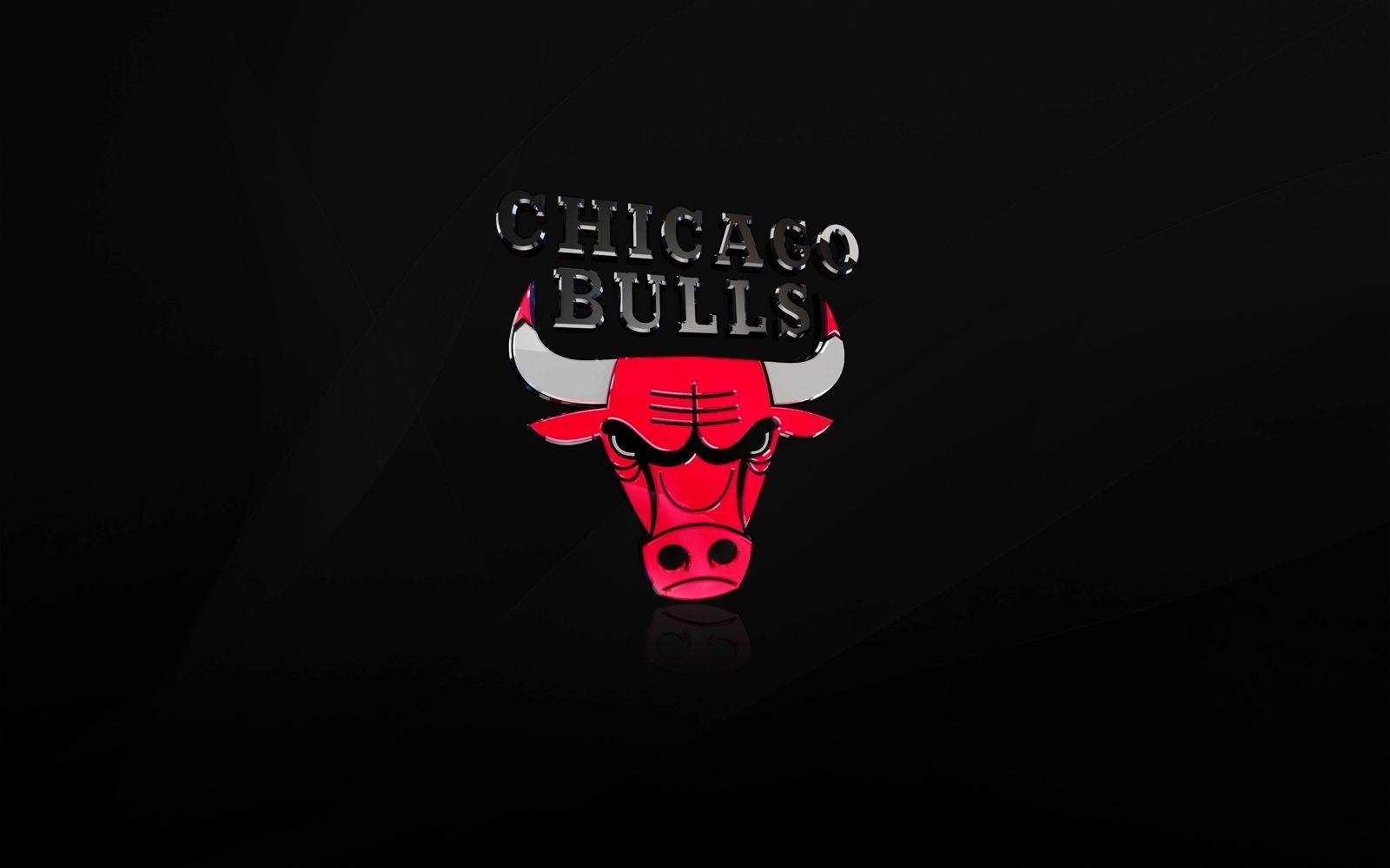 1600x1000 Chicago Bulls NBA Logo Art, Desktop